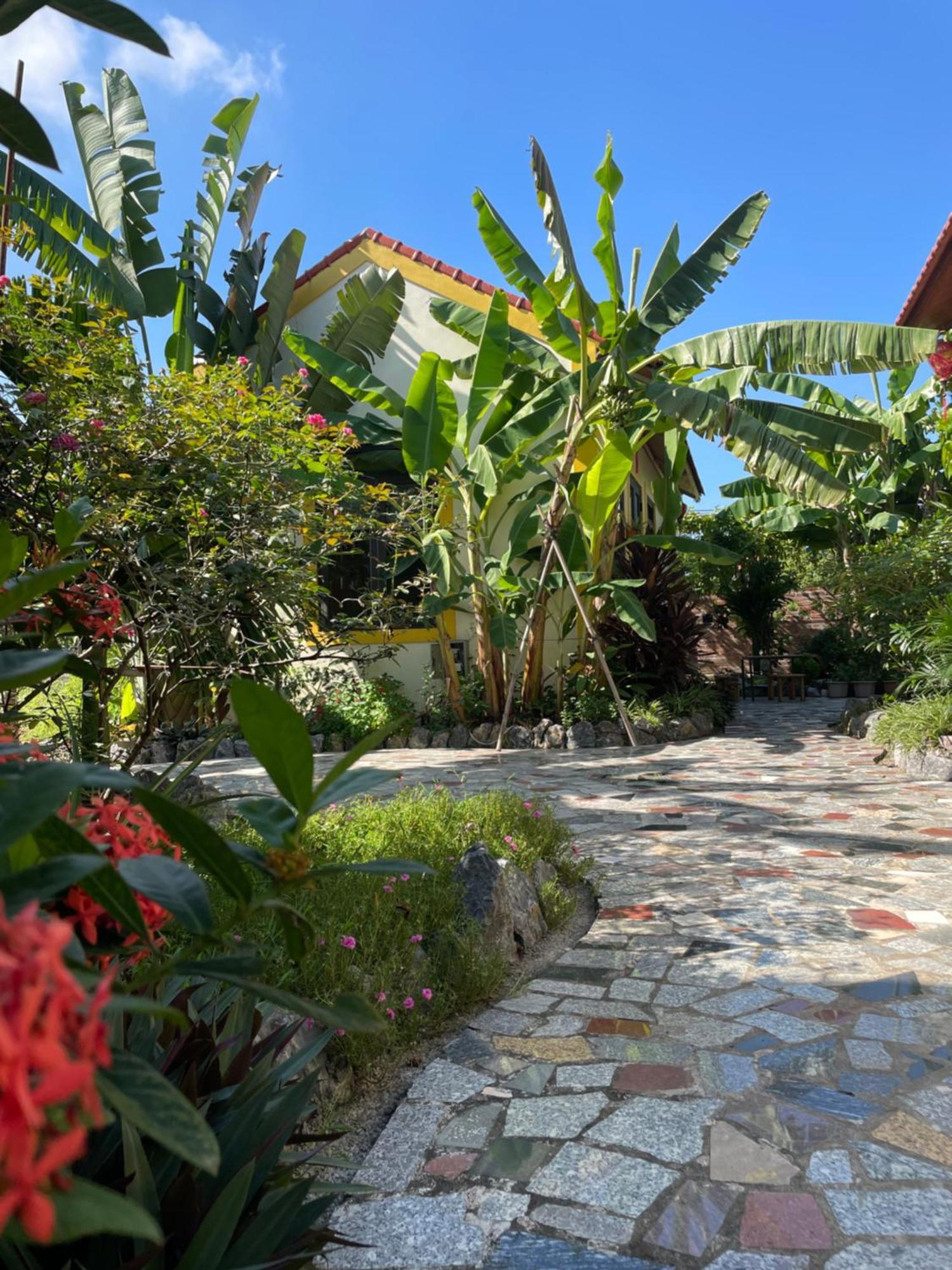 Ninh Binh Royal Homestay Eksteriør billede