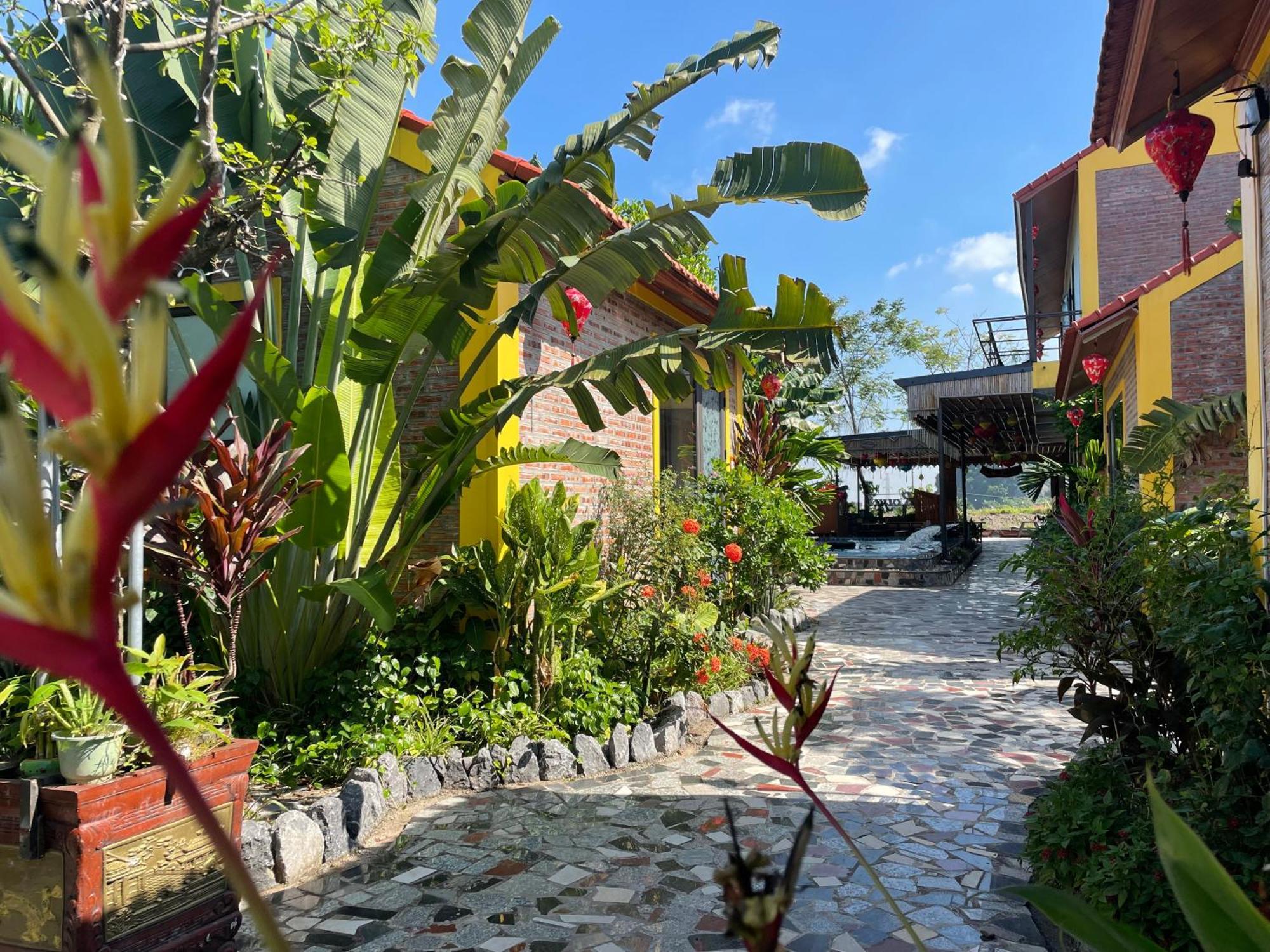 Ninh Binh Royal Homestay Eksteriør billede